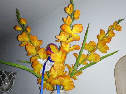 lenovo k3_note_cam1