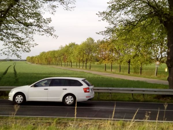 IMG 20150429_185458_kopie