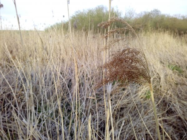 IMG 20150429_191416_kopie