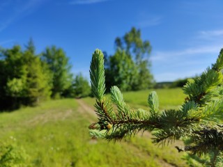 oneplus 9 pro kamera