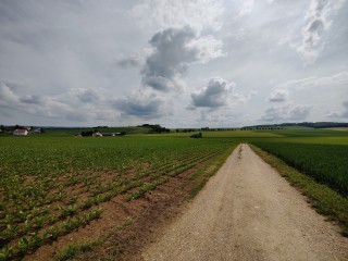 oneplus 9 kamera