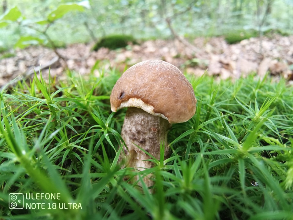 Ulefone Note 18 Ultra 5G Makro Kamera