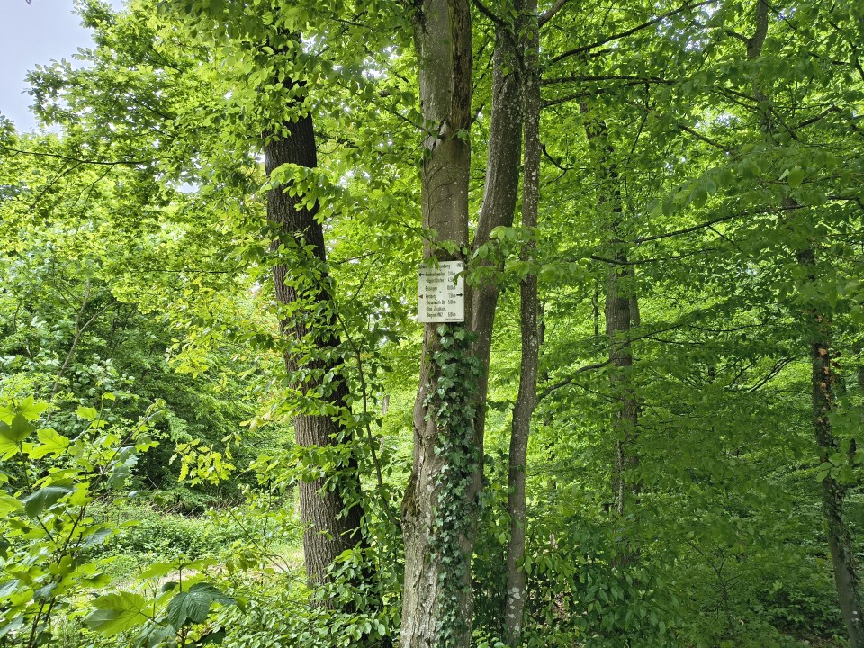 Motorola Edge 60 Fusion Kamera Tag Standard