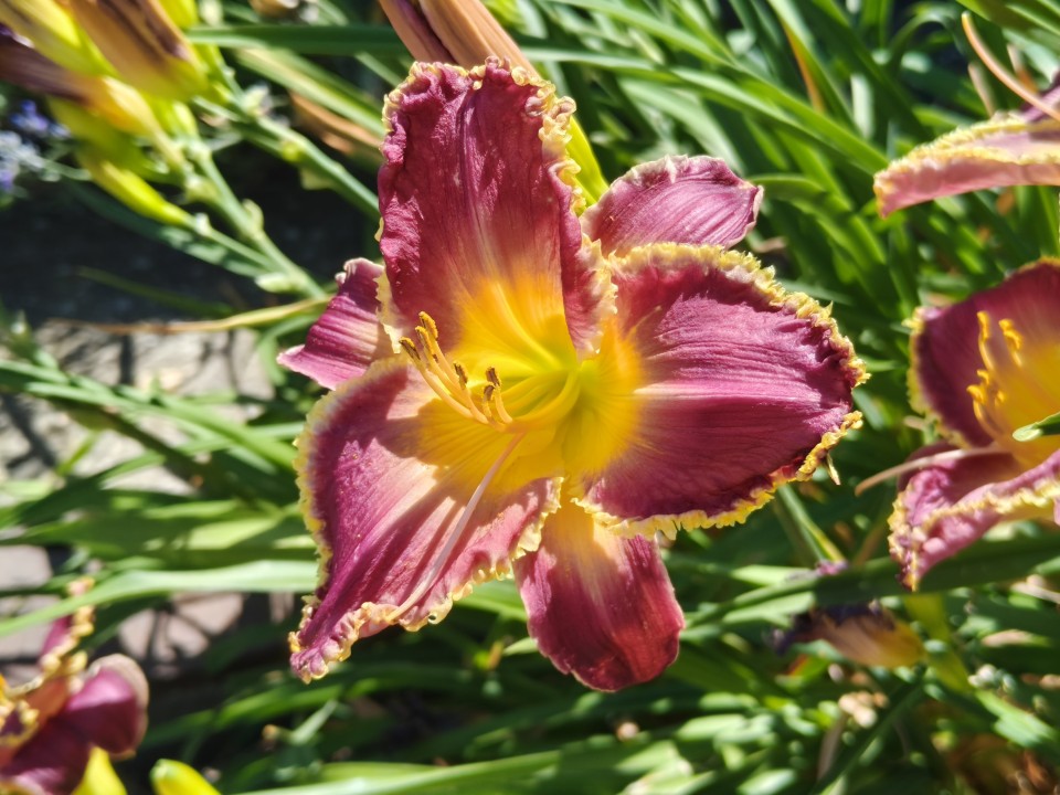 Realme GT 7 Kamera Digitalzoom