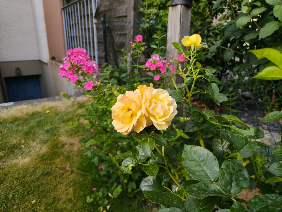 Realme GT 7 Kamera Tag 12MP