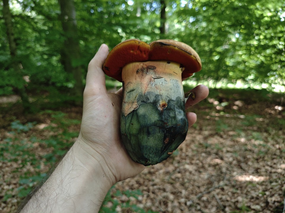 Poco F7 Kamera Tag Standard 12MP
