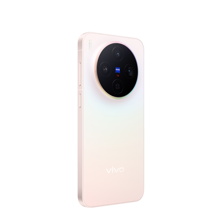 Vivo X300
