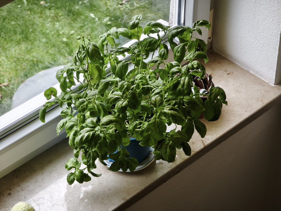 Xiaomi 15T Pro Kamera Tele Tag 12MP