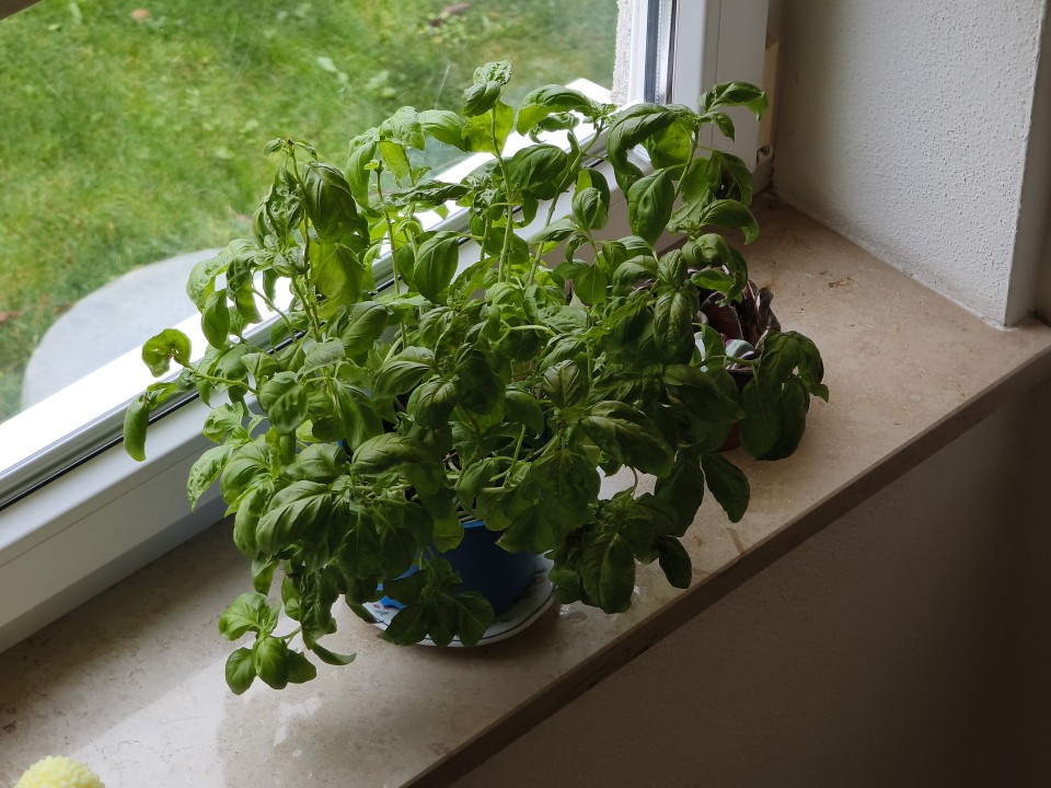 Xiaomi 15T Pro Kamera Tele Tag 50MP