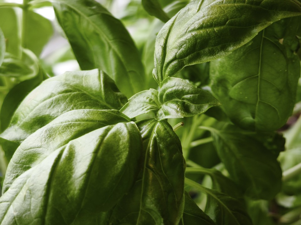 Xiaomi 15T Pro Kamera Supermakro