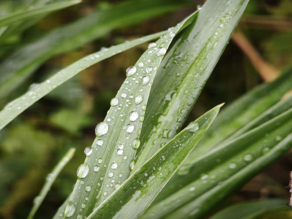 Xiaomi 15T Pro Kamera Supermakro