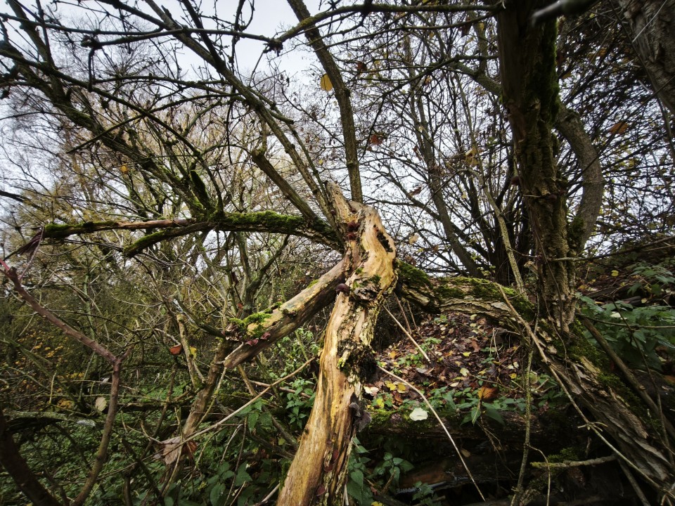 Xiaomi 15T Pro Kamera Ultrawide Tag