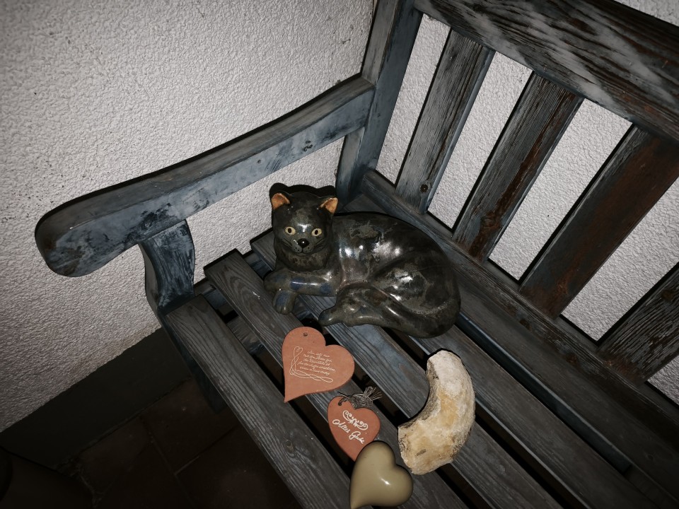 Xiaomi 15T Pro Kamera Blitz