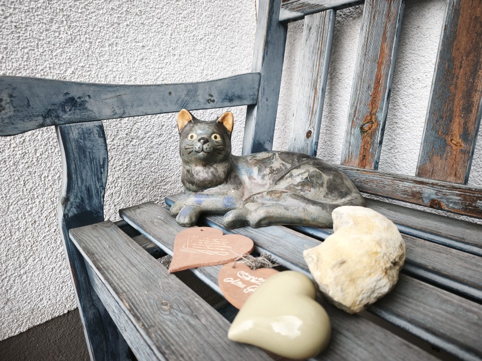 Xiaomi 15T Pro Kamera Haupt Tag 12MP