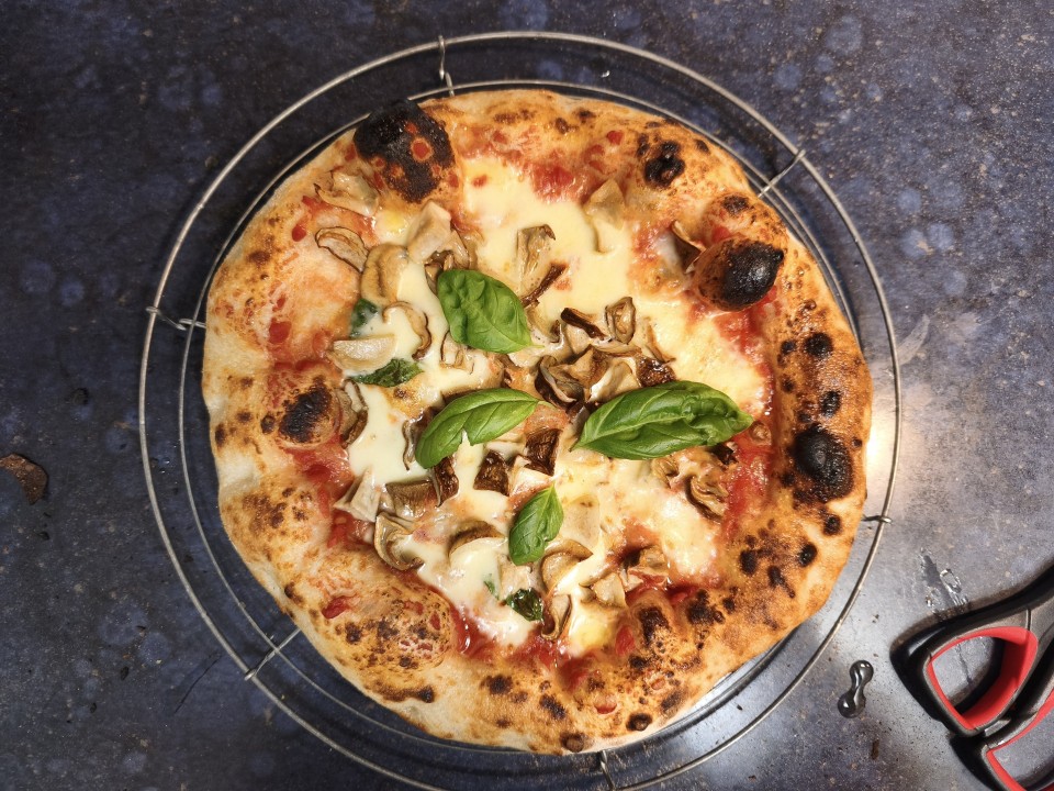 Xiaomi 15T Pro Kamera Haupt Tag 50MP