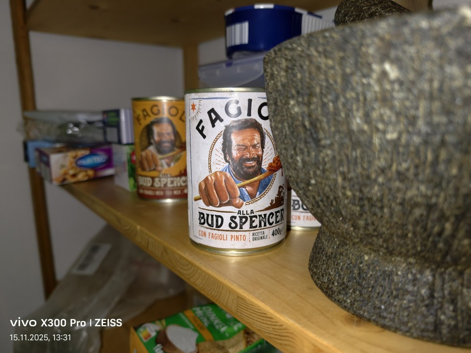 Vivo X300 Pro Kamera Haupt Blitz