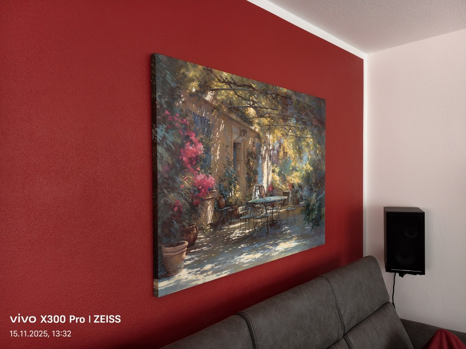 Vivo X300 Pro Kamera Haupt Tag 12MP