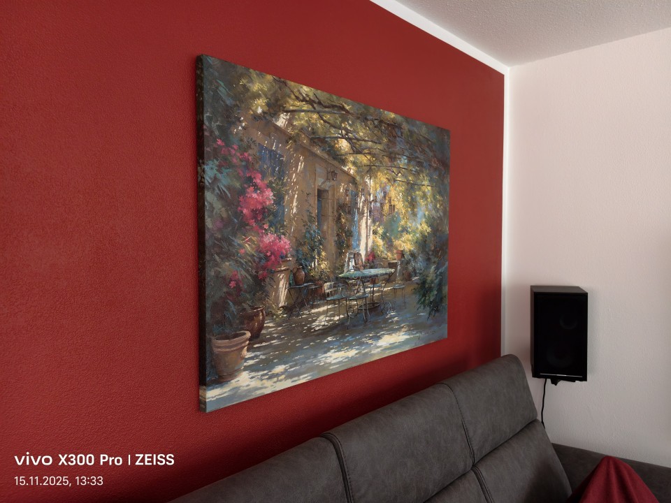 Vivo X300 Pro Kamera Haupt 50MP