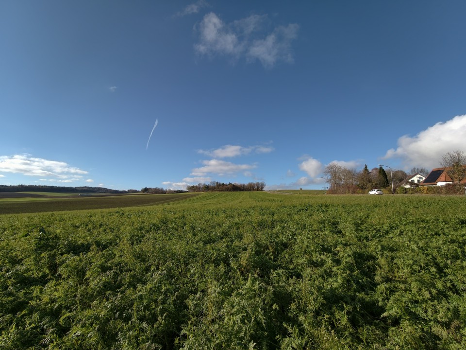 Vivo X300 Pro Kamera Ultrawide Tag 12MP