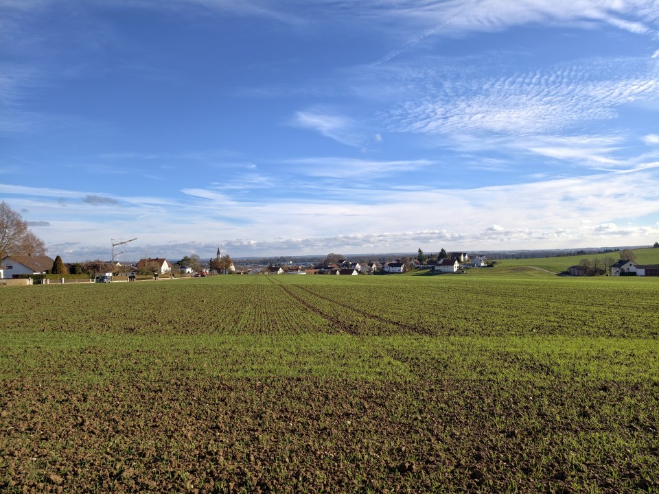 Vivo X300 Pro Kamera Haupt Tag 12MP