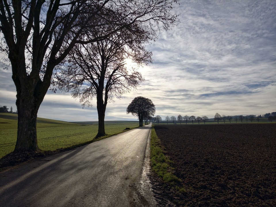 Vivo X300 Pro Kamera Haupt Tag 12MP