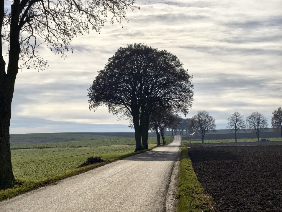 Vivo X300 Pro Kamera Tele Tag 12MP