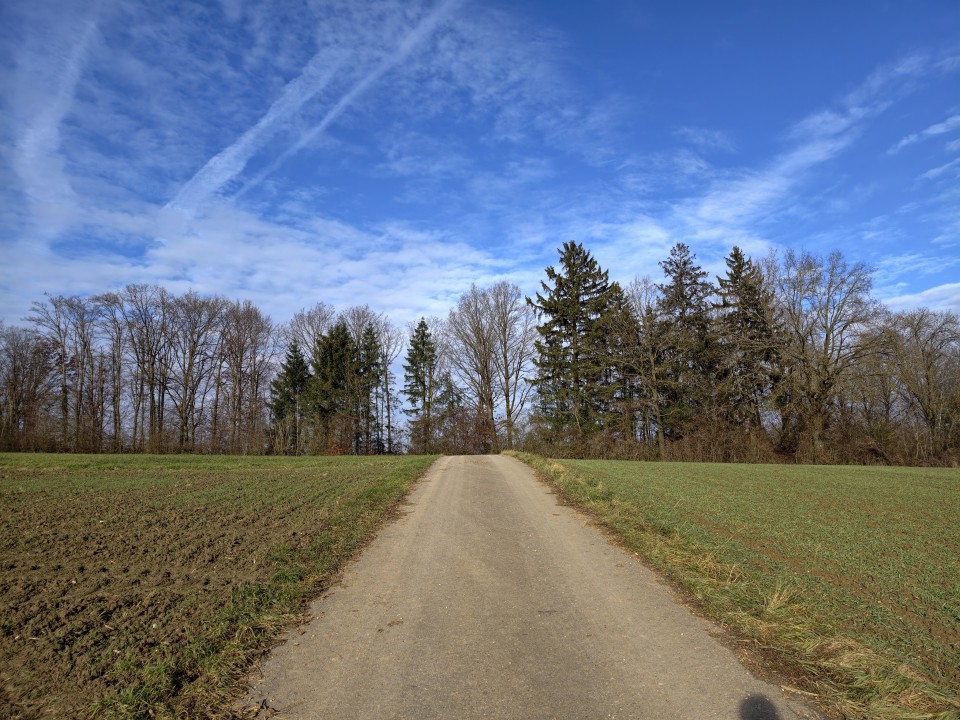 Vivo X300 Pro Kamera Haupt Tag 12MP