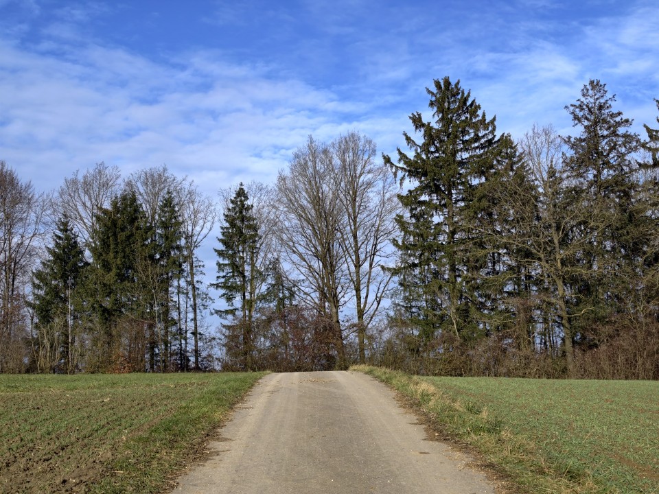 Vivo X300 Pro Kamera Haupt 2x Digitalzoom