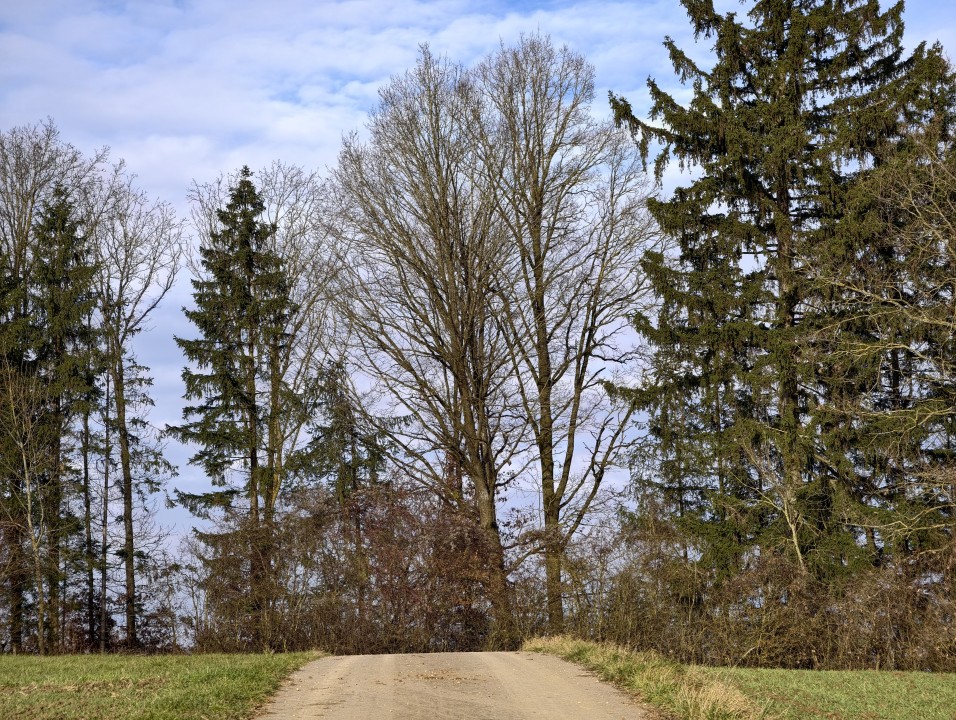 Vivo X300 Pro Kamera Tele Tag 12MP