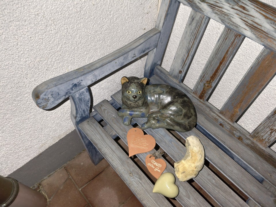 Vivo X300 Pro Kamera Haupt Blitz