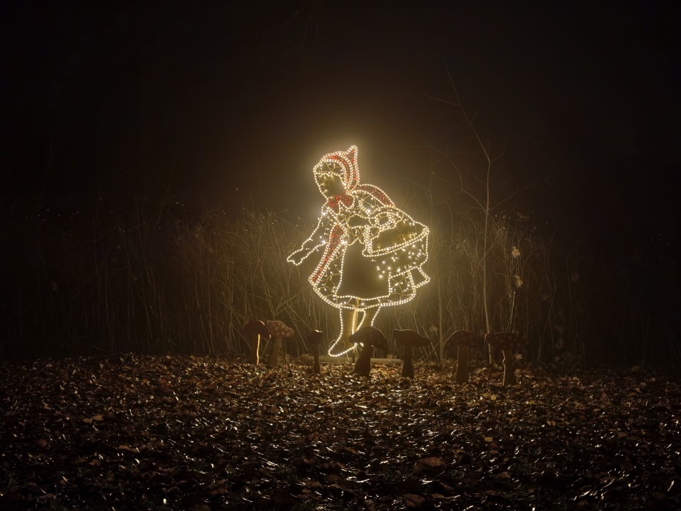 Vivo X300 Pro Kamera Haupt 2x Digitalzoom