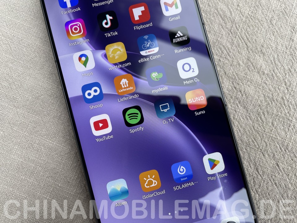 Vivo X300 Pro Display