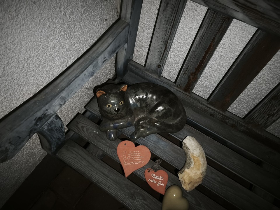 Xiaomi 15T Kamera Haupt Blitz