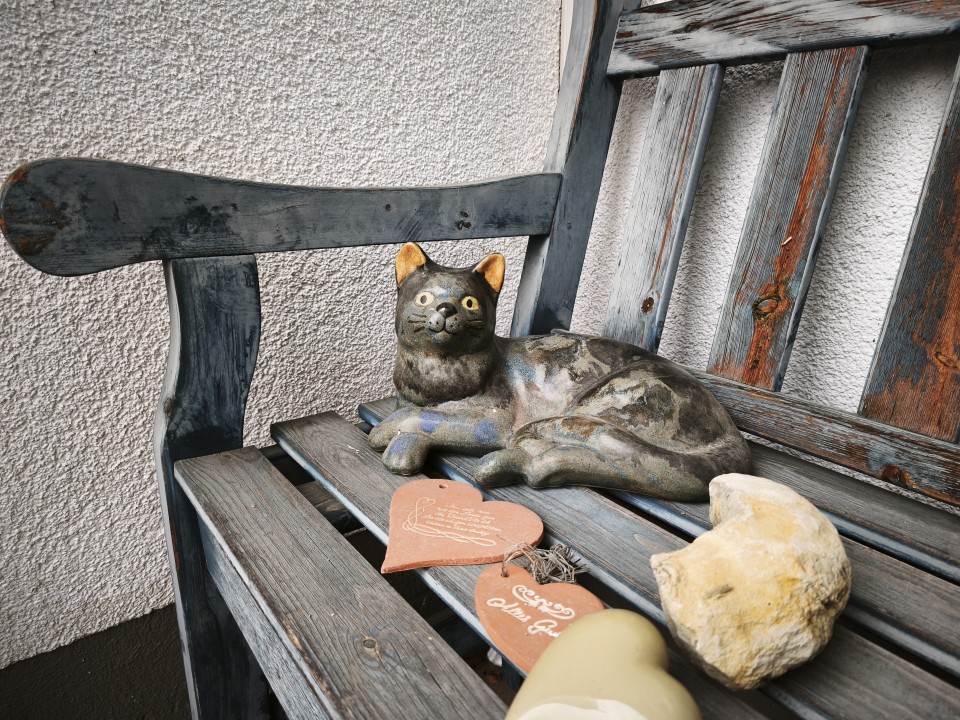 Xiaomi 15T Kamera Haupt Tag 12MP