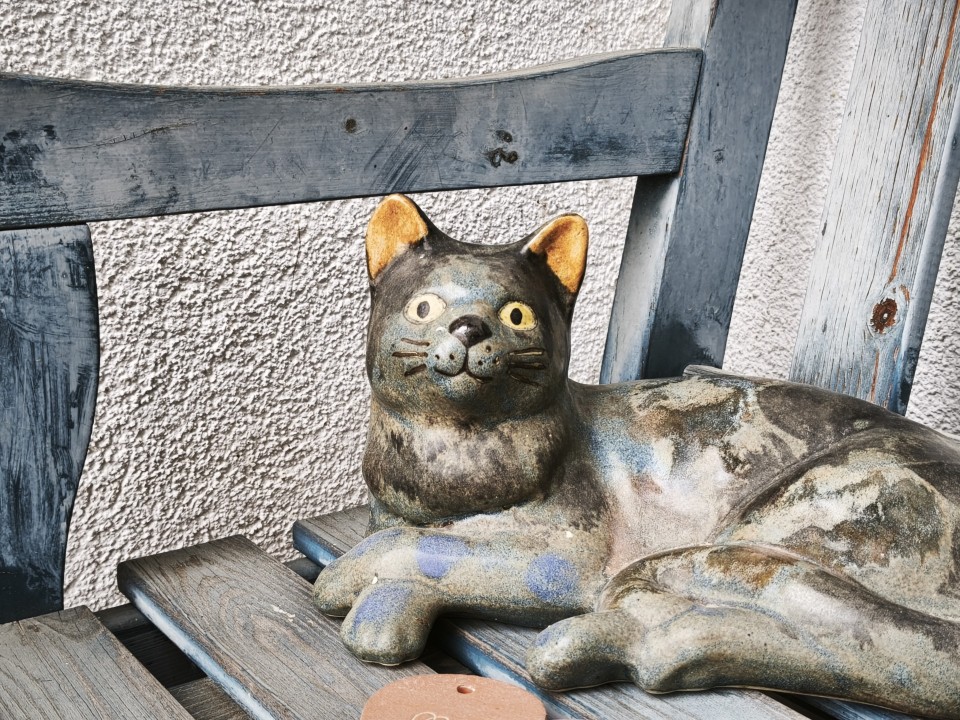 Xiaomi 15T Kamera Haupt Digitalzoom