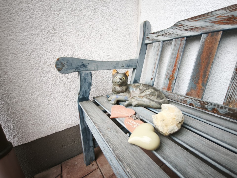 Xiaomi 15T Kamera Ultrawide Tag 12MP