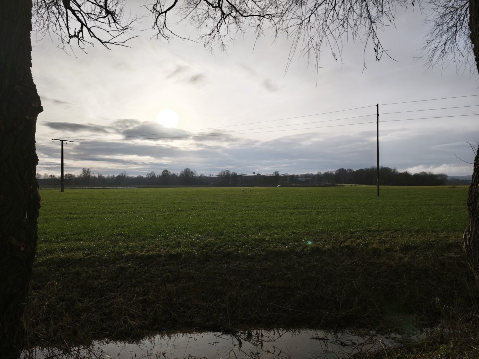 Xiaomi 15T Kamera Haupt Tag 12MP