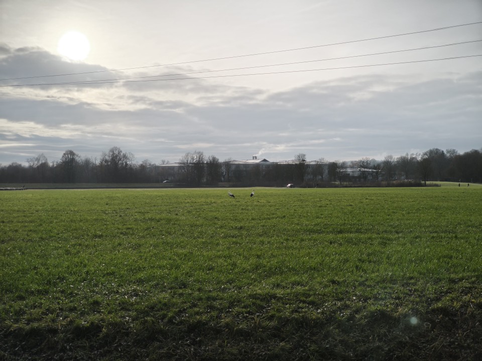 Xiaomi 15T Kamera Tele Tag 12MP