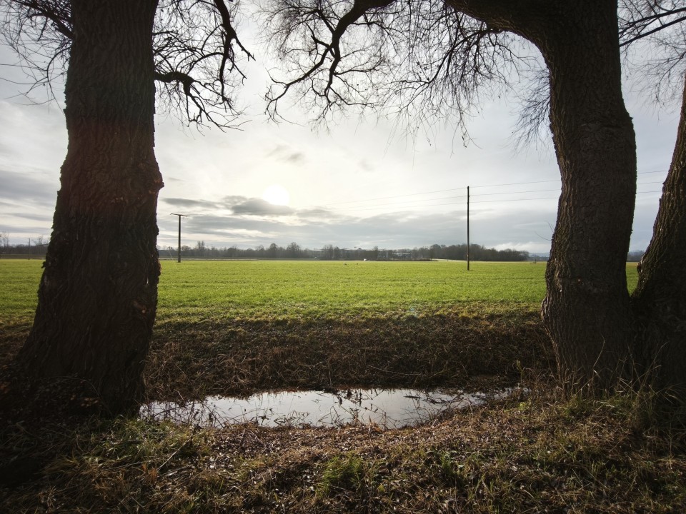 Xiaomi 15T Kamera Ultrawide Tag 12MP