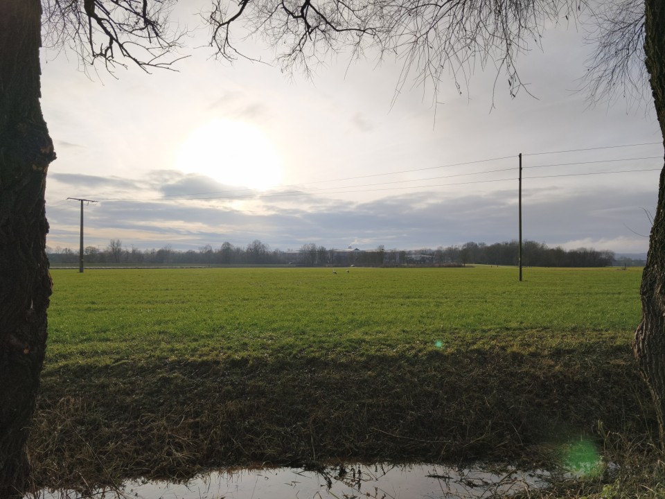 Xiaomi 15T Kamera Haupt 50MP