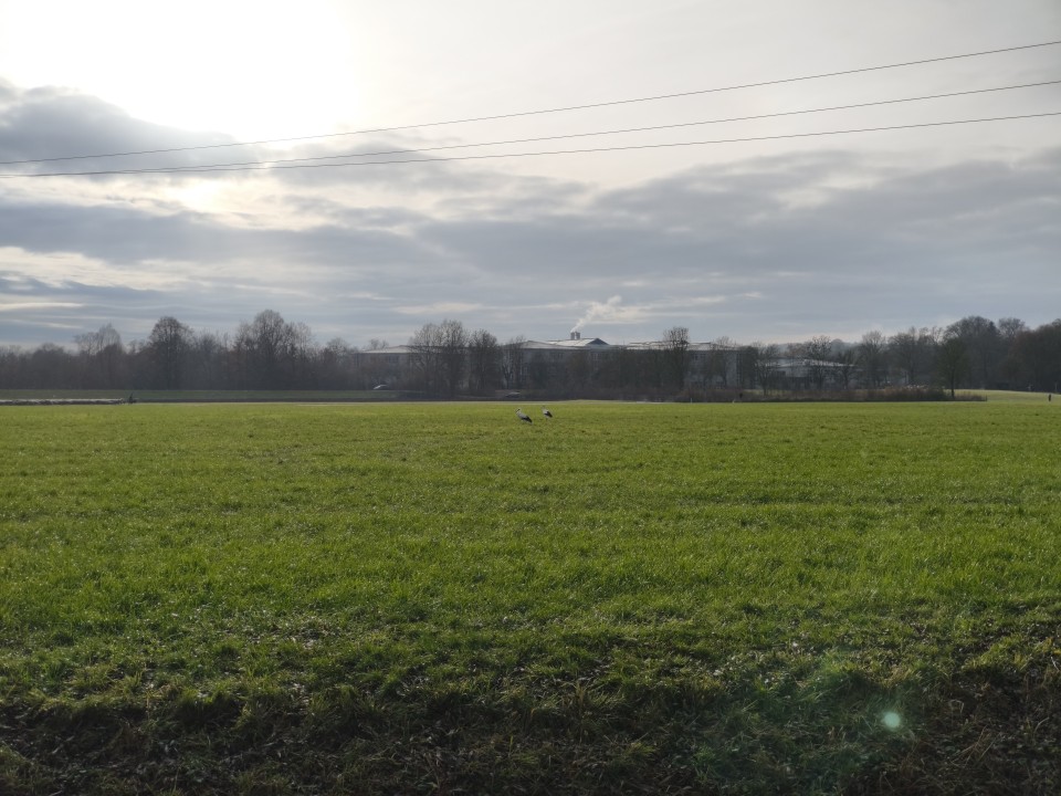 Xiaomi 15T Kamera Tele Tag 50MP