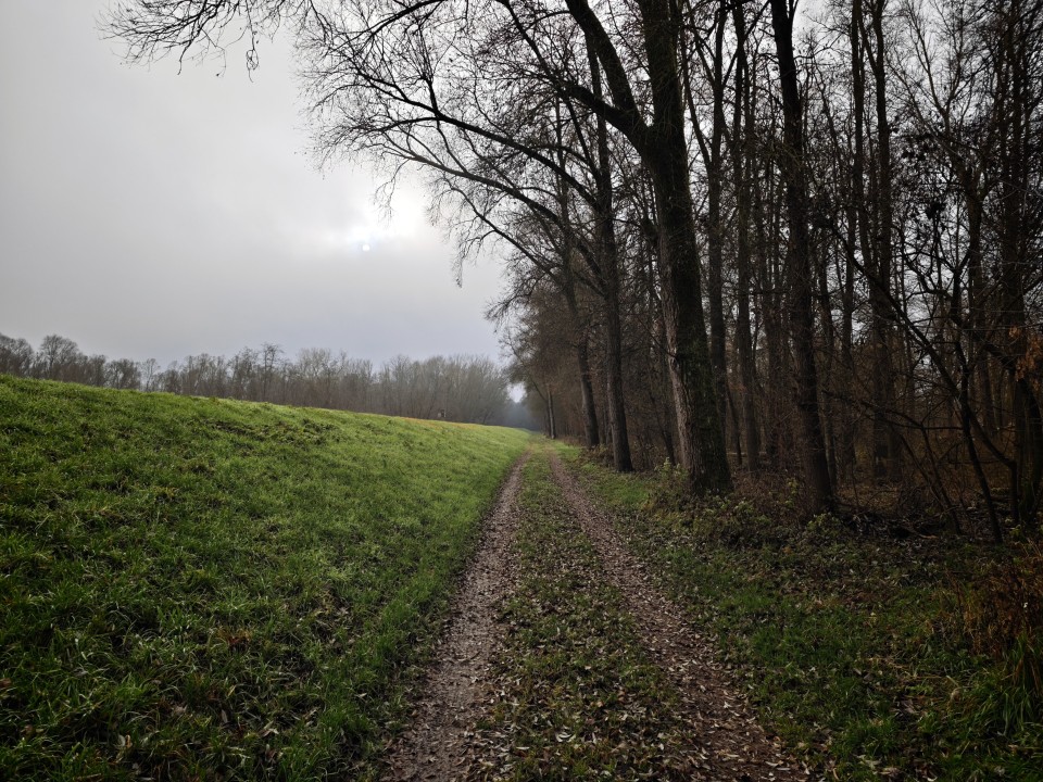 Xiaomi 17 Pro Kamera Haupt Tag 12MP