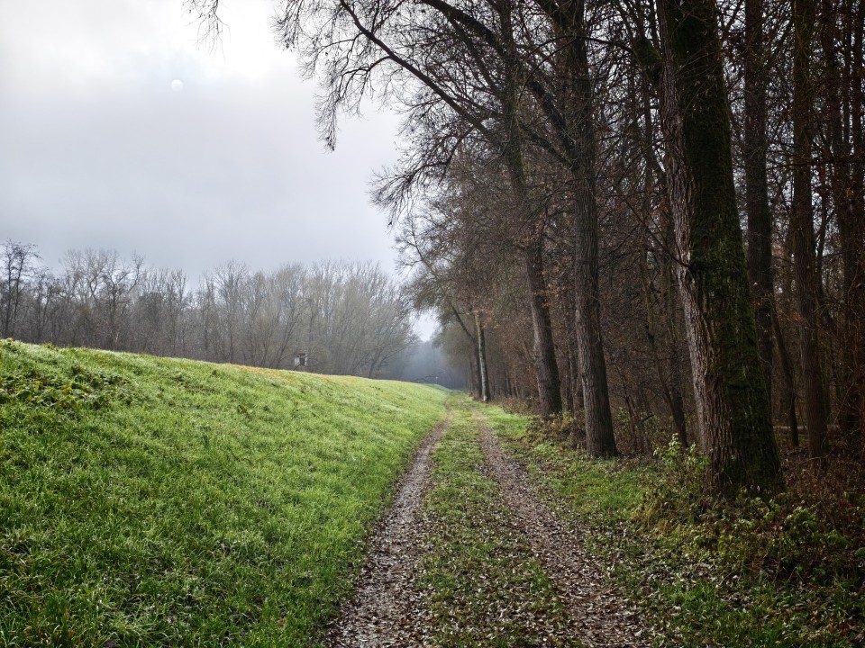 Xiaomi 17 Pro Kamera Haupt Digitalzoom