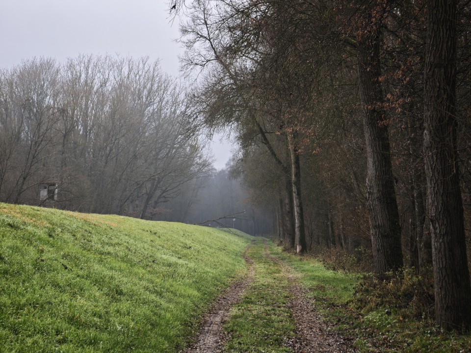 Xiaomi 17 Pro Kamera Tele Tag 12MP