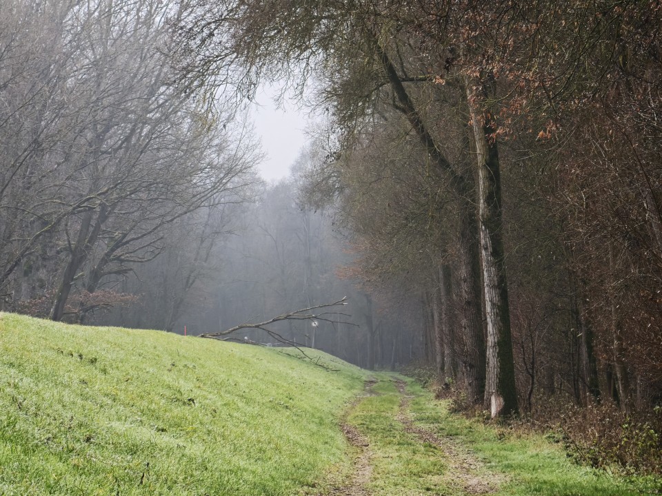 Xiaomi 17 Pro Kamera Tele Digitalzoom