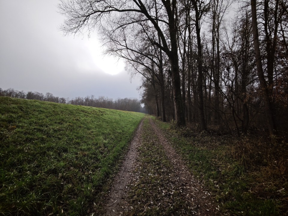 Xiaomi 17 Pro Kamera Ultrawide Tag 12MP