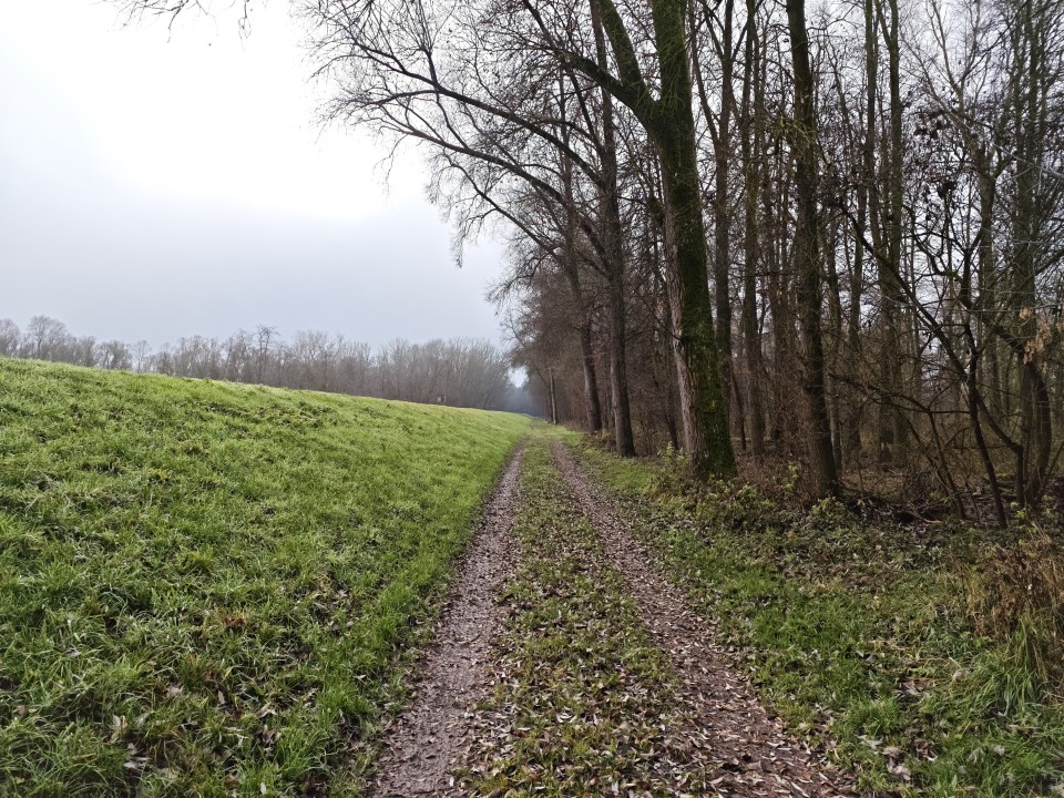 Xiaomi 17 Pro Kamera Haupt Tag 50MP