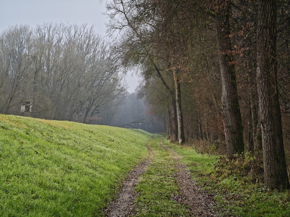 Xiaomi 17 Pro Kamera Tele Tag 50MP