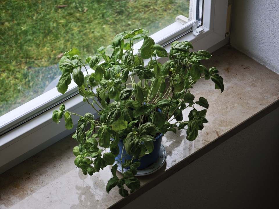 Xiaomi 17 Pro Kamera Tele Tag 12MP