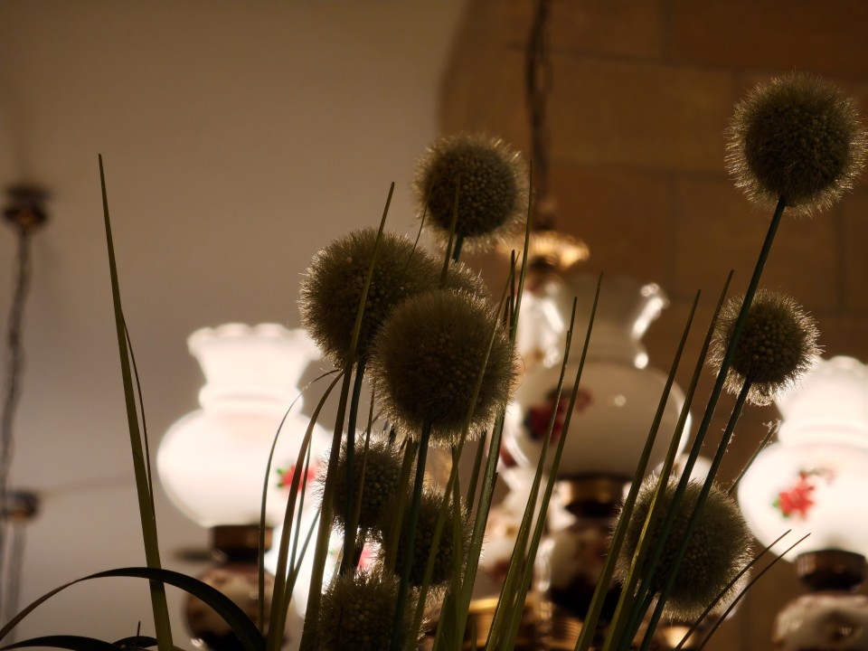 Xiaomi 17 Pro Kamera Portrait